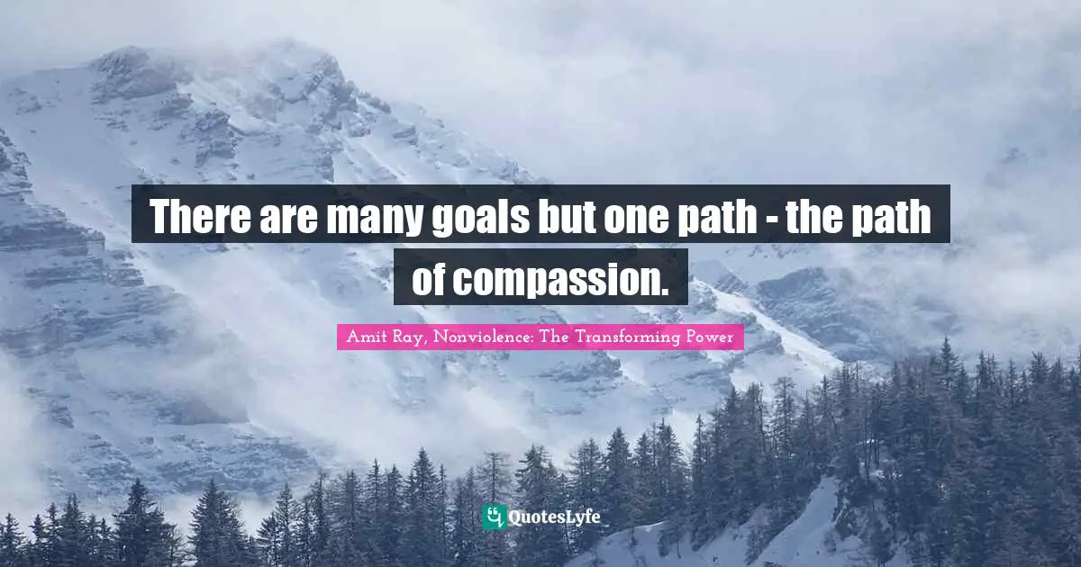 There are many goals but one path - the path of compassion.