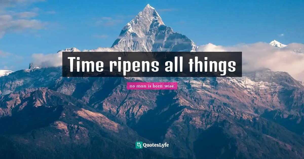 Time ripens all things