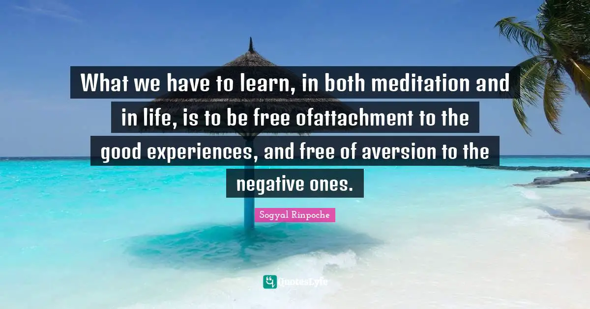 What we have to learn, in both meditation and in life, is to be free ofattachment to the good experiences, and free of aversion to the negative ones.