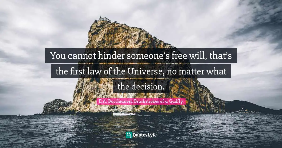 Making Sense Quotes: "You cannot hinder someone’s free will, that’s the first law of the Universe, no matter what the decision."