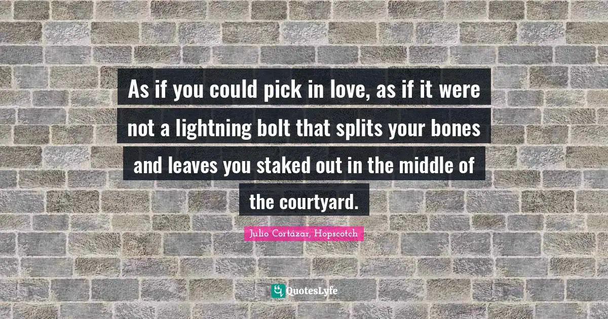 As if you could pick in love, as if it were not a lightning bolt that splits your bones and leaves you staked out in the middle of the courtyard.