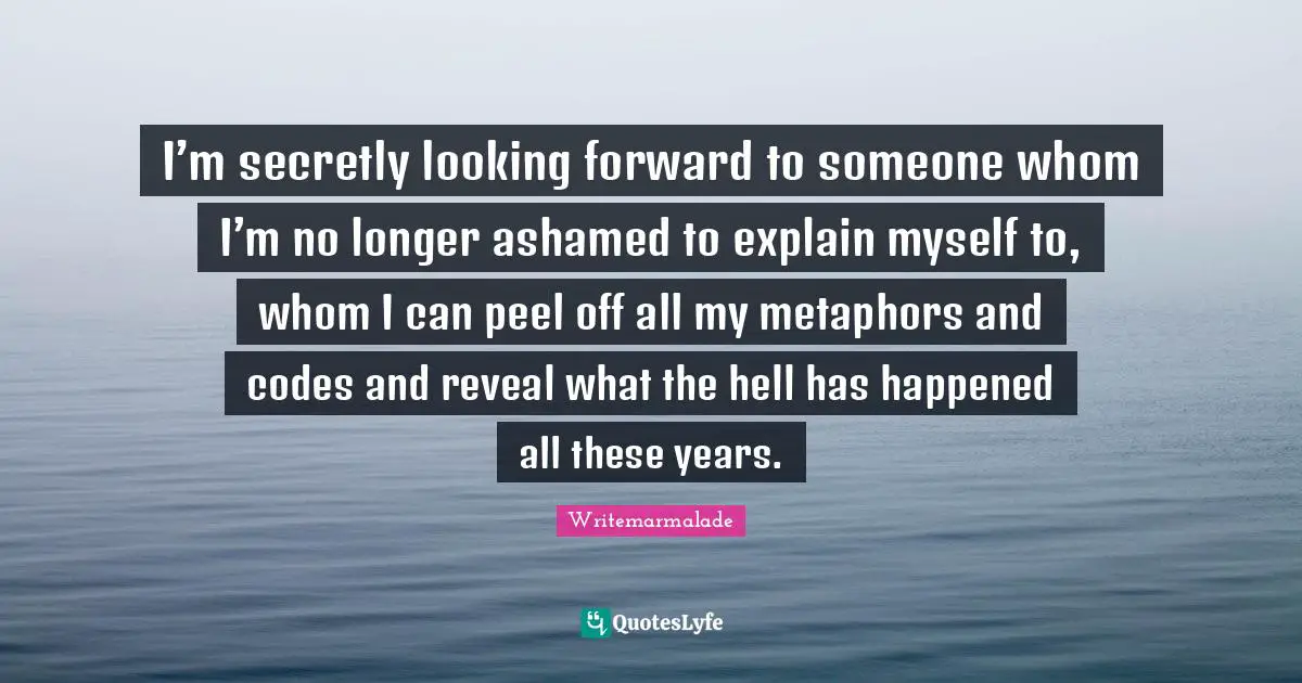 I’m secretly looking forward to someone whom I’m no longer ashamed to explain myself to, whom I can peel off all my metaphors and codes and reveal what the hell has happened all these years.