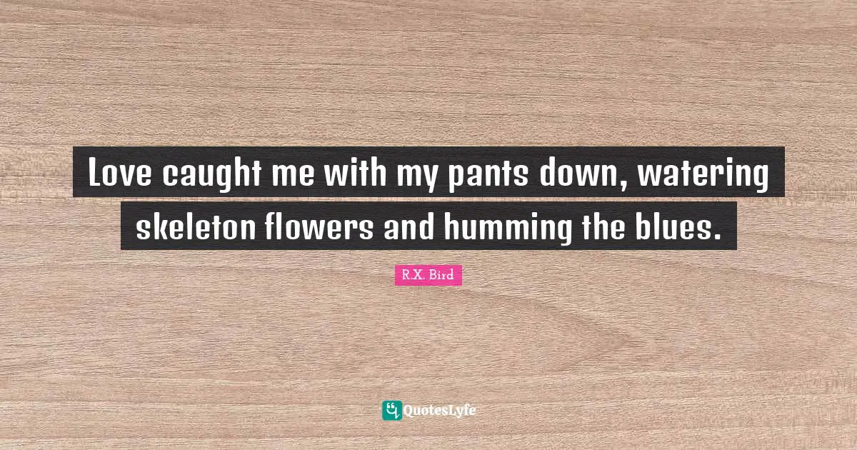 Love caught me with my pants down, watering skeleton flowers and humming the blues.
