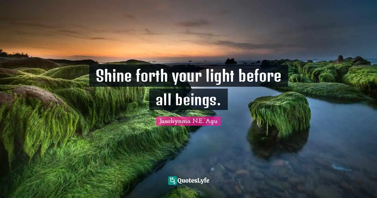 Jaachynma N.E. Agu Quotes: Shine forth your light before all beings.