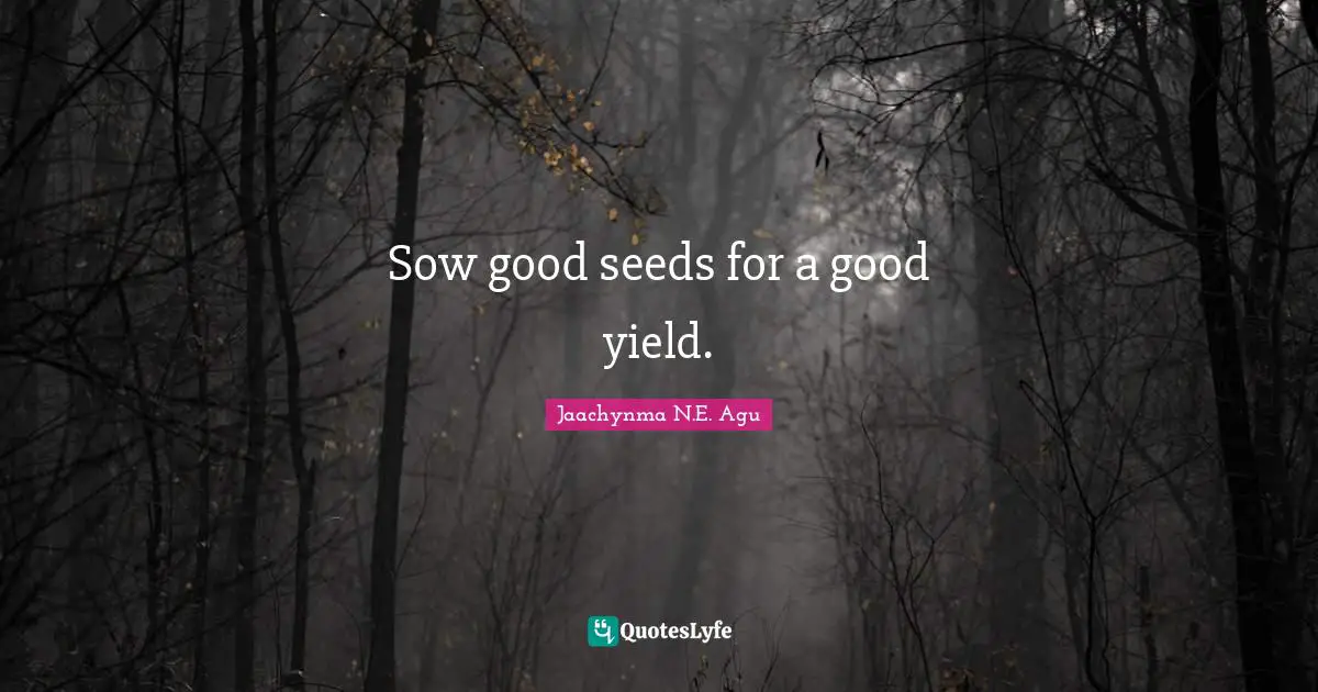 Jaachynma N.E. Agu Quotes: Sow good seeds for a good yield.