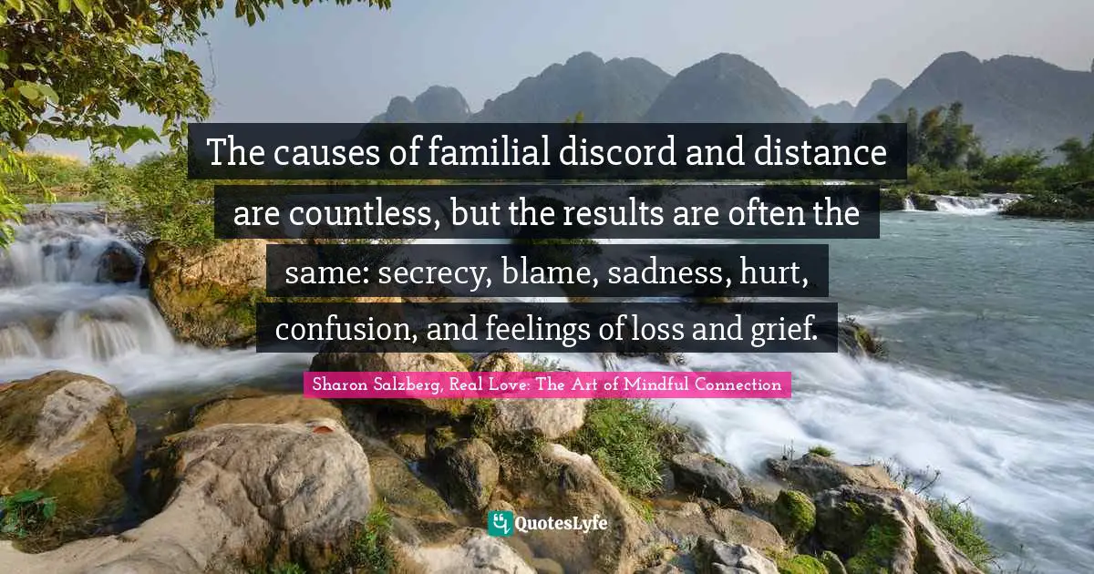 The causes of familial discord and distance are countless, but the results are often the same: secrecy, blame, sadness, hurt, confusion, and feelings of loss and grief.