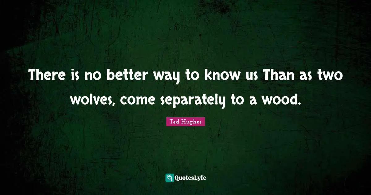 Ted Hughes Quotes: "There is no better way to know us Than as two wolves, come separately to a wood."