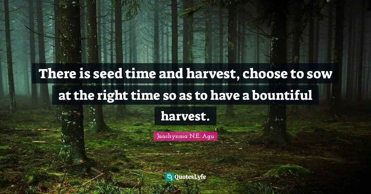 Jaachynma N.E. Agu Quotes: There is seed time and harvest, choose to sow at the right time so as to have a bountiful harvest.