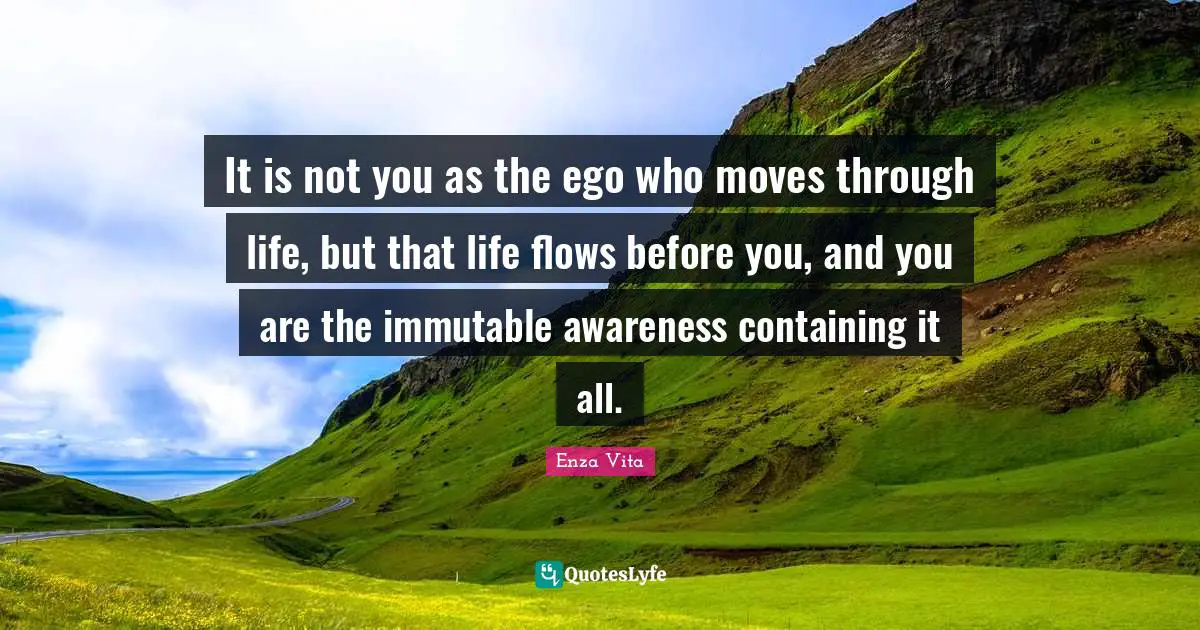 It is not you as the ego who moves through life, but that life flows before you, and you are the immutable awareness containing it all.