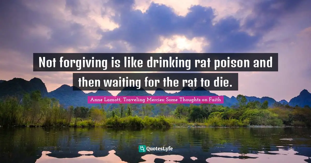 Grudges Quotes: "Not forgiving is like drinking rat poison and then waiting for the rat to die."