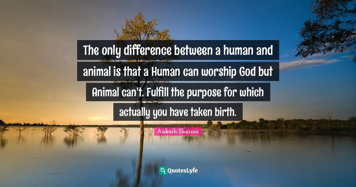 The only difference between a human and animal is that a Human can worship God but Animal can't. Fulfill the purpose for which actually you have taken birth.