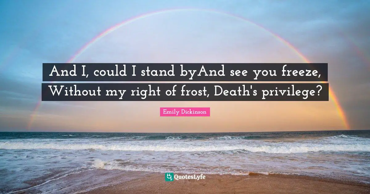 Love Hurts Quotes: "And I, could I stand byAnd see you freeze, Without my right of frost, Death's privilege?"