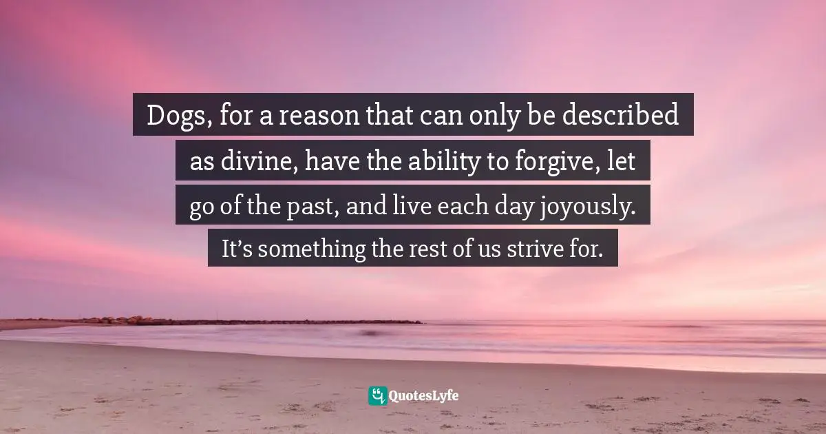 Dogs, for a reason that can only be described as divine, have the ability to forgive, let go of the past, and live each day joyously. It’s something the rest of us strive for.