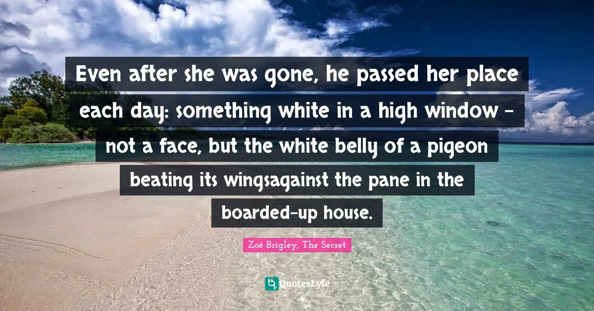 Even after she was gone, he passed her place each day: something white in a high window - not a face, but the white belly of a pigeon beating its wingsagainst the pane in the boarded-up house.