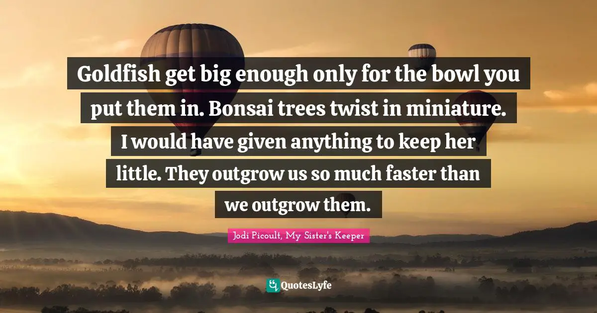 Jodi Picoult, My Sister's Keeper Quotes: "Goldfish get big enough only for the bowl you put them in. Bonsai trees twist in miniature. I would have given anything to keep her little. They outgrow us so much faster than we outgrow them."