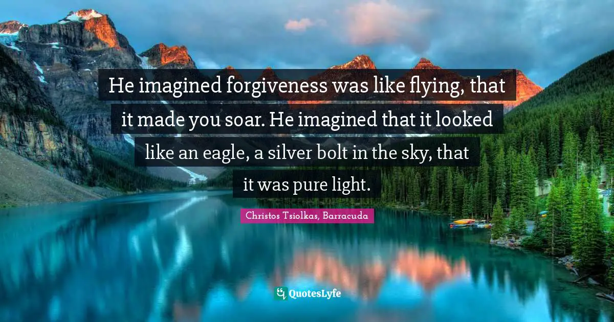 He imagined forgiveness was like flying, that it made you soar. He imagined that it looked like an eagle, a silver bolt in the sky, that it was pure light.