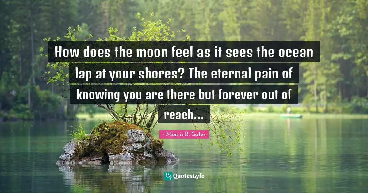 Seperation Quotes: "How does the moon feel as it sees the ocean lap at your shores? The eternal pain of knowing you are there but forever out of reach..."