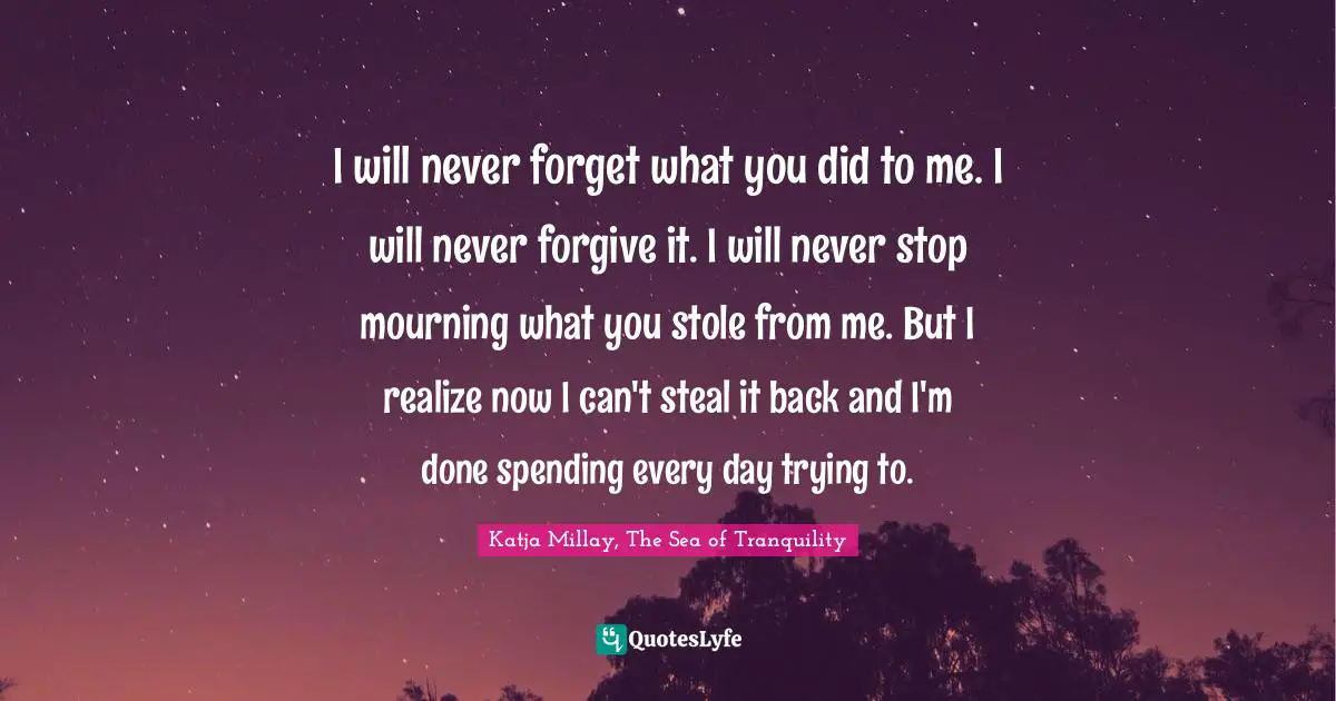 I will never forget what you did to me. I will never forgive it. I will never stop mourning what you stole from me. But I realize now I can't steal it back and I'm done spending every day trying to.