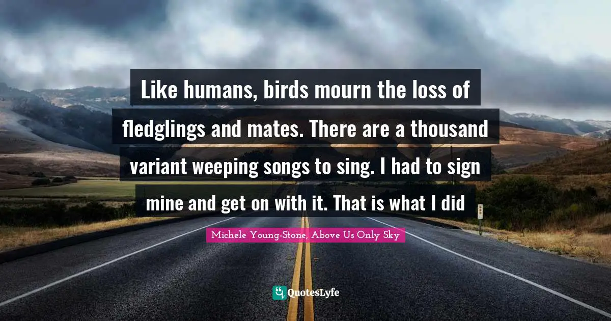 Like humans, birds mourn the loss of fledglings and mates. There are a thousand variant weeping songs to sing. I had to sign mine and get on with it. That is what I did