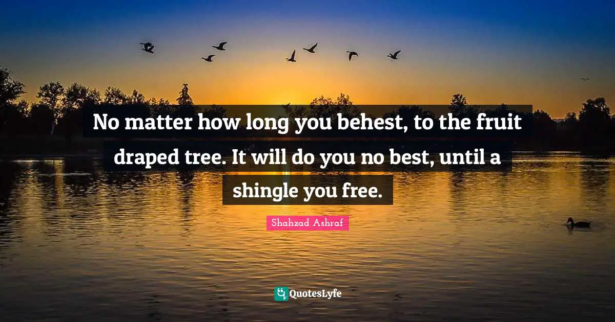 No matter how long you behest, to the fruit draped tree. It will do you no best, until a shingle you free.