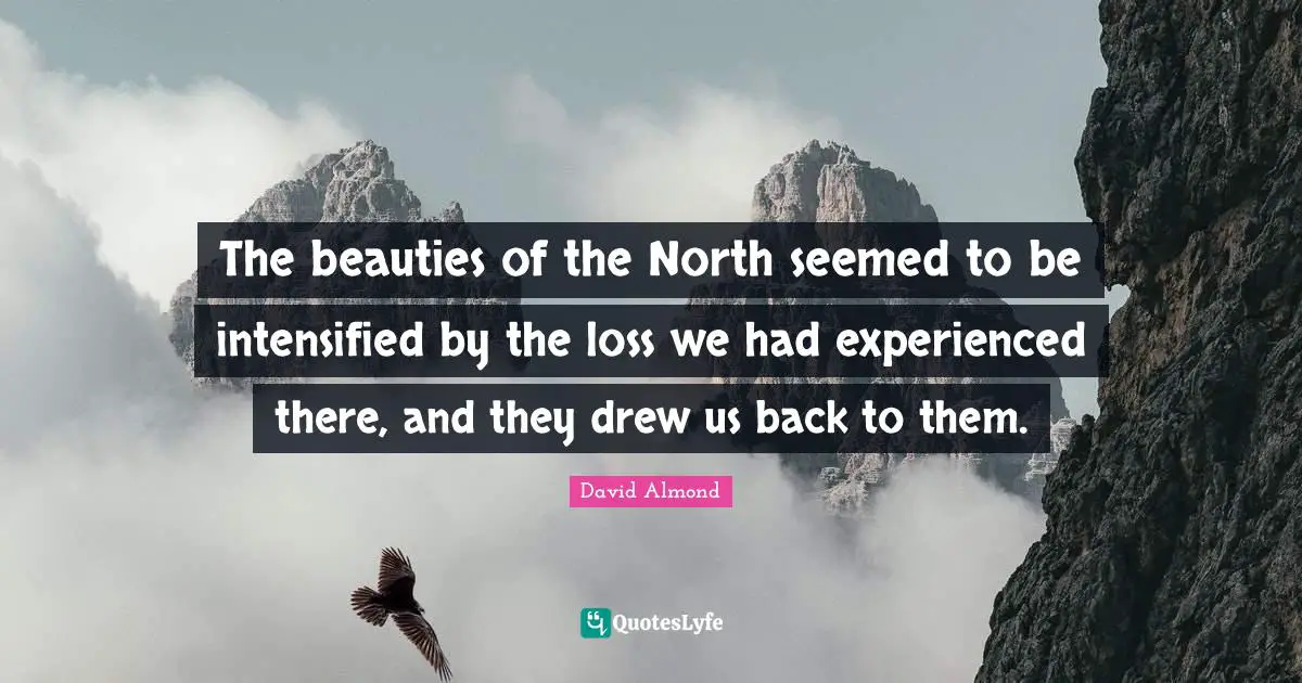 The beauties of the North seemed to be intensified by the loss we had experienced there, and they drew us back to them.