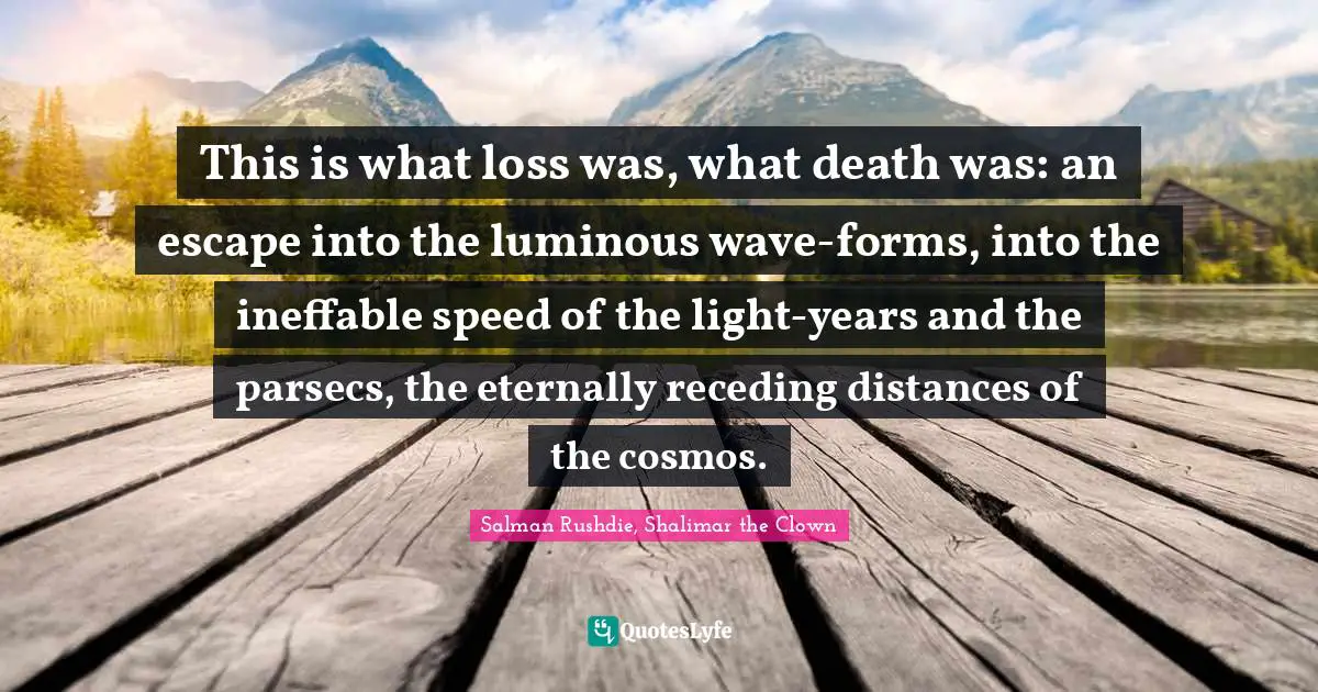 This is what loss was, what death was: an escape into the luminous wave-forms, into the ineffable speed of the light-years and the parsecs, the eternally receding distances of the cosmos.