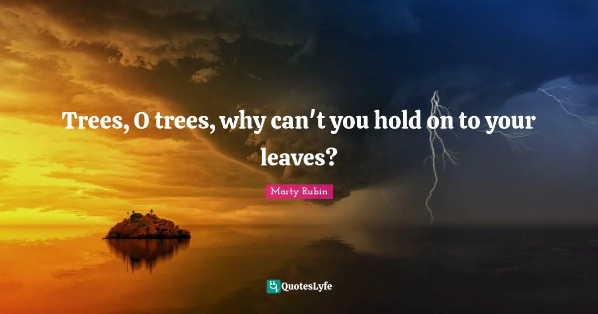 Trees, O trees, why can't you hold on to your leaves?