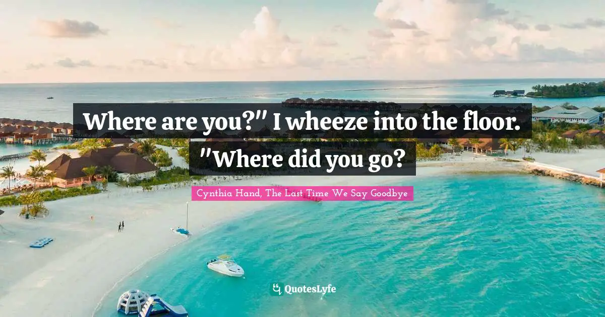 Where are you?" I wheeze into the floor. "Where did you go?