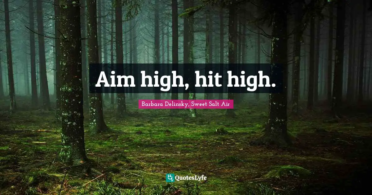 Barbara Delinsky Quotes: "Aim high, hit high."
