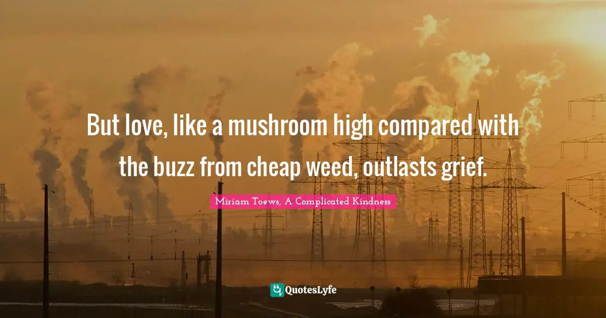 But love, like a mushroom high compared with the buzz from cheap weed, outlasts grief.