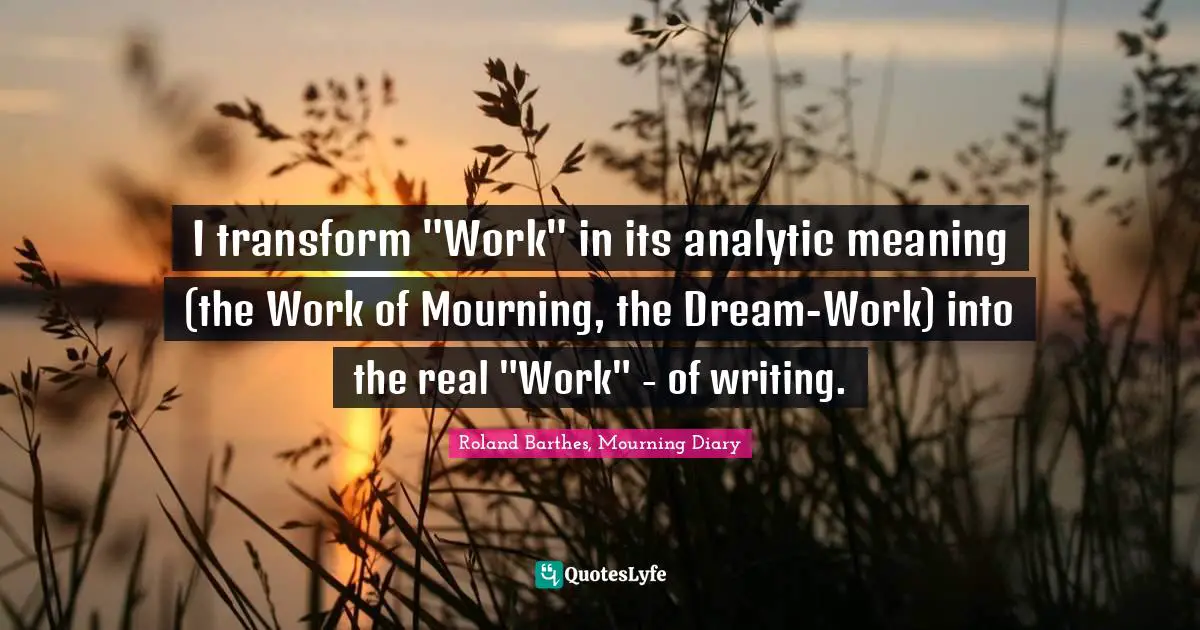 I transform "Work" in its analytic meaning (the Work of Mourning, the Dream-Work) into the real "Work" - of writing.