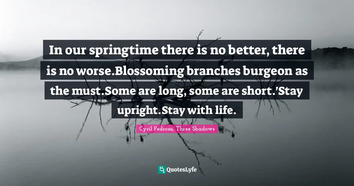 In our springtime there is no better, there is no worse.Blossoming branches burgeon as the must.Some are long, some are short.'Stay upright.Stay with life.