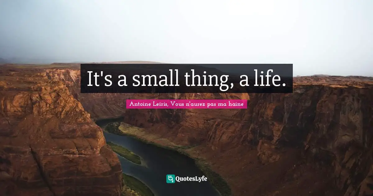 It's a small thing, a life.