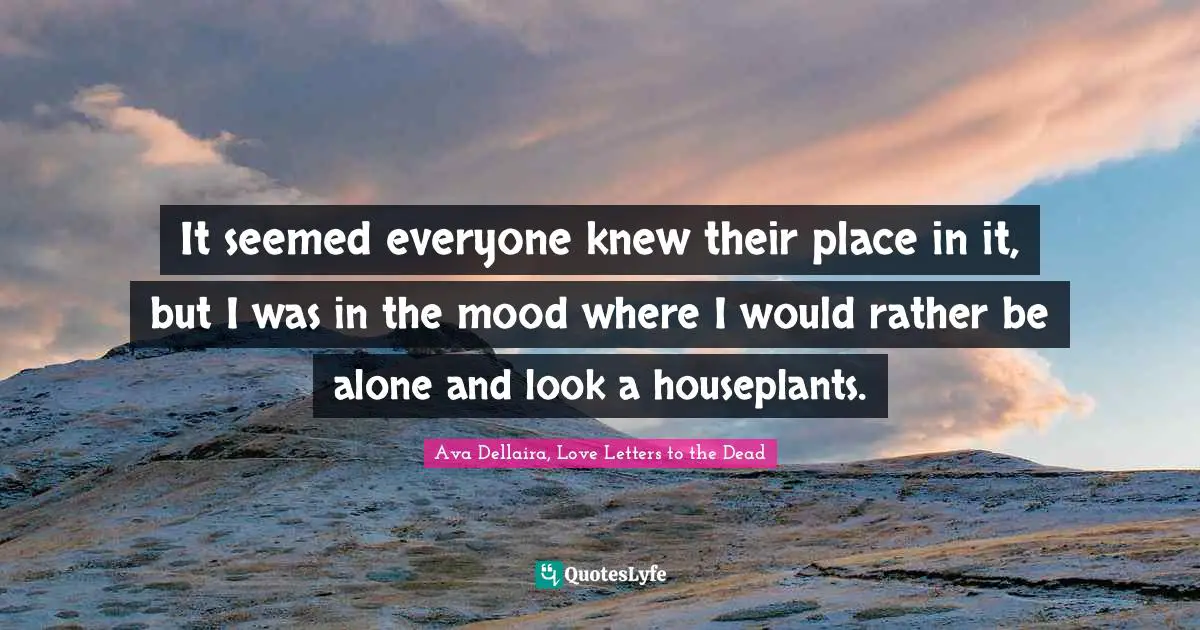 It seemed everyone knew their place in it, but I was in the mood where I would rather be alone and look a houseplants.
