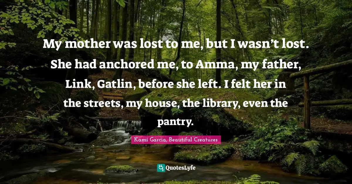 My mother was lost to me, but I wasn’t lost. She had anchored me, to Amma, my father, Link, Gatlin, before she left. I felt her in the streets, my house, the library, even the pantry.