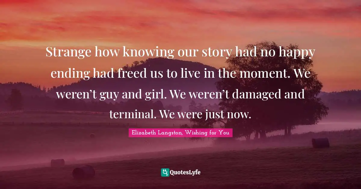Strange how knowing our story had no happy ending had freed us to live in the moment. We weren’t guy and girl. We weren’t damaged and terminal. We were just now.