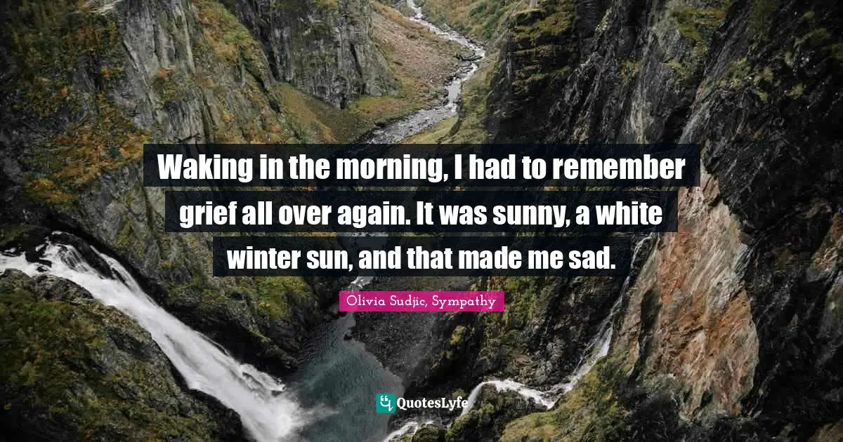 Waking in the morning, I had to remember grief all over again. It was sunny, a white winter sun, and that made me sad.