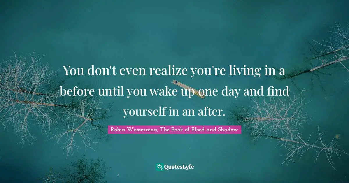 You don't even realize you're living in a before until you wake up one day and find yourself in an after.
