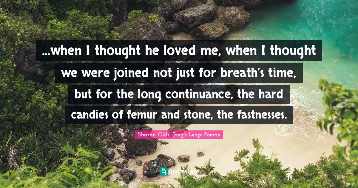 ...when I thought he loved me, when I thought we were joined not just for breath’s time, but for the long continuance, the hard candies of femur and stone, the fastnesses.