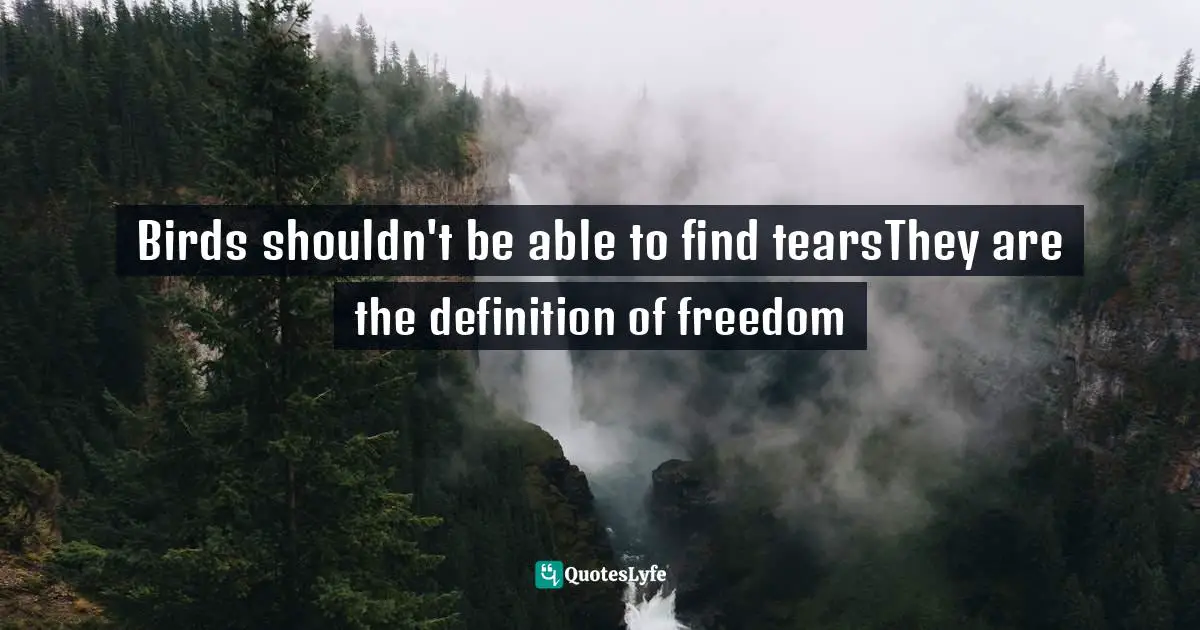 Birds shouldn't be able to find tearsThey are the definition of freedom