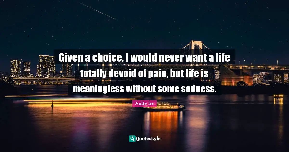 Given a choice, I would never want a life totally devoid of pain, but life is meaningless without some sadness.