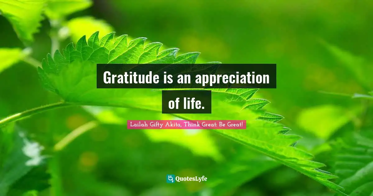 Gratitude is an appreciation of life.