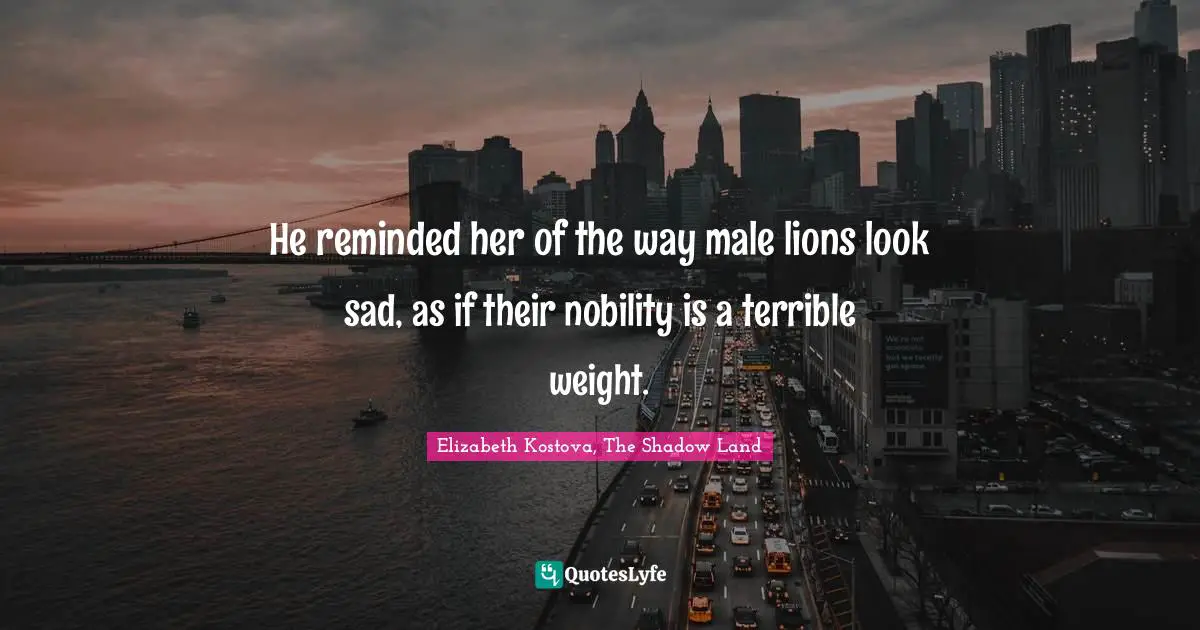 He reminded her of the way male lions look sad, as if their nobility is a terrible weight.