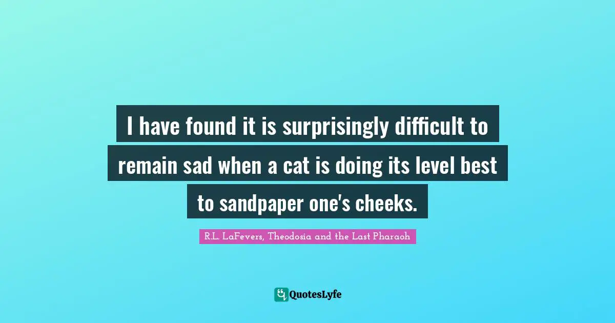 I have found it is surprisingly difficult to remain sad when a cat is doing its level best to sandpaper one's cheeks.