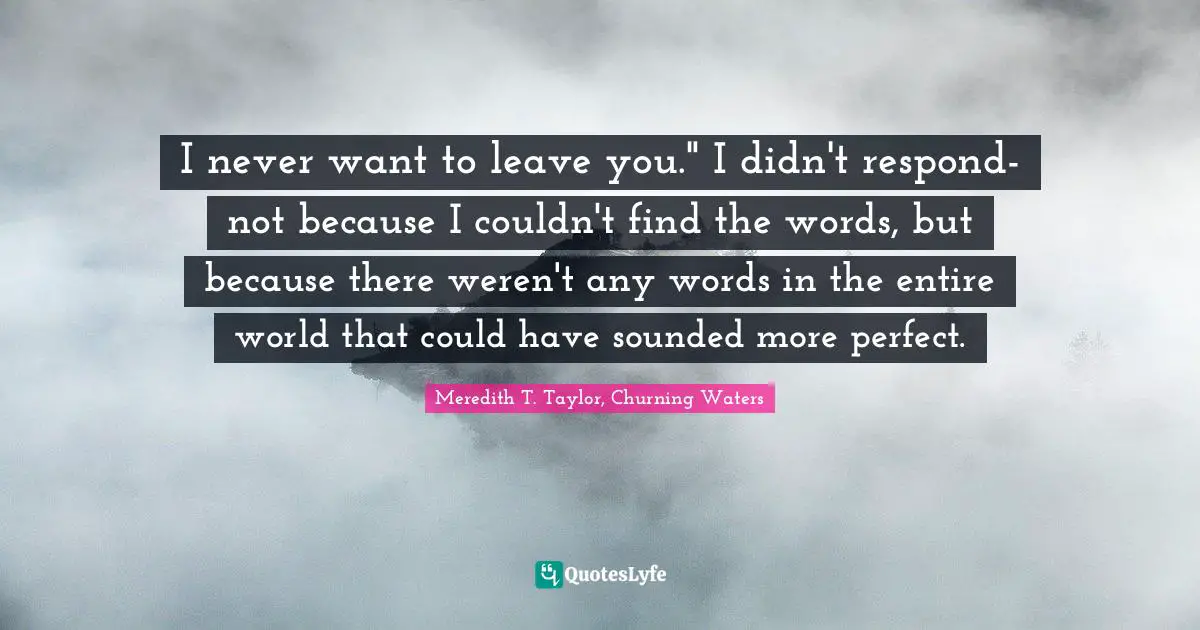 I never want to leave you." I didn't respond- not because I couldn't find the words, but because there weren't any words in the entire world that could have sounded more perfect.