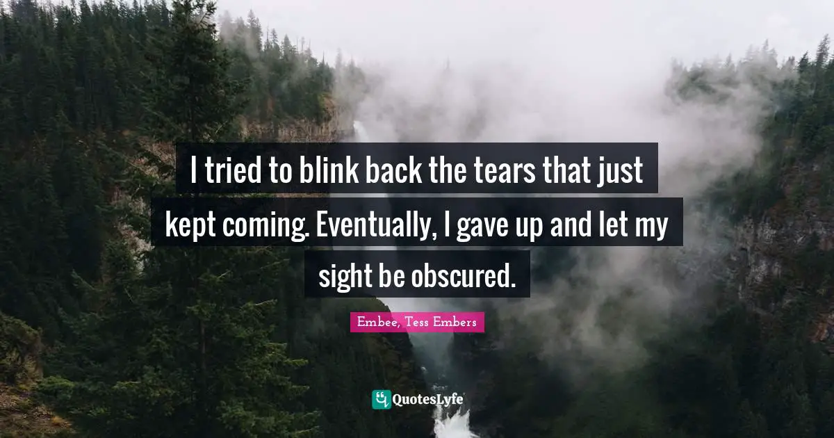 I tried to blink back the tears that just kept coming. Eventually, I gave up and let my sight be obscured.