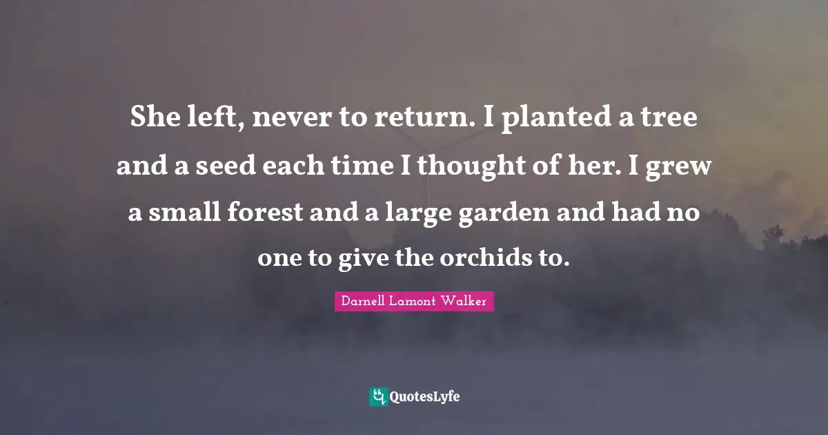 Orchids Quotes: "She left, never to return. I planted a tree and a seed each time I thought of her. I grew a small forest and a large garden and had no one to give the orchids to."