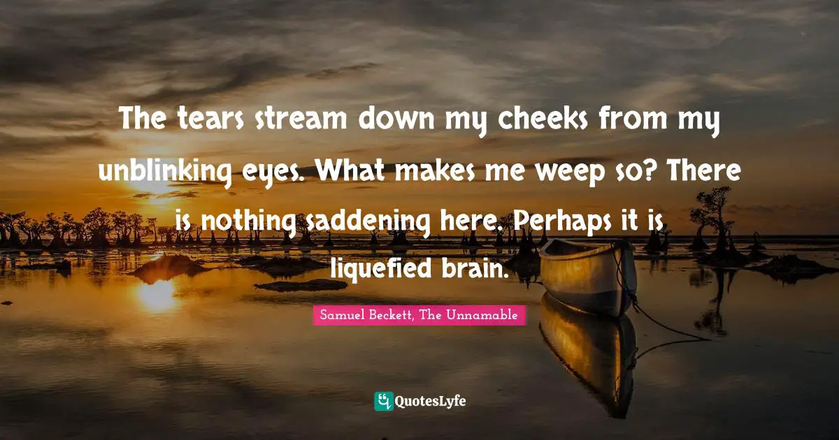 The tears stream down my cheeks from my unblinking eyes. What makes me weep so? There is nothing saddening here. Perhaps it is liquefied brain.