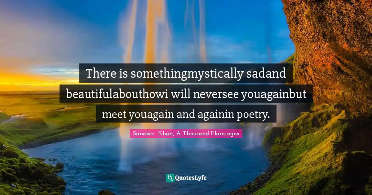 Sanober  Khan, A Thousand Flamingos Quotes: "There is somethingmystically sadand beautifulabouthowi will neversee youagainbut meet youagain and againin poetry."