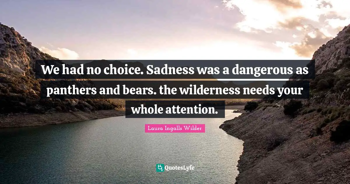We had no choice. Sadness was a dangerous as panthers and bears. the wilderness needs your whole attention.